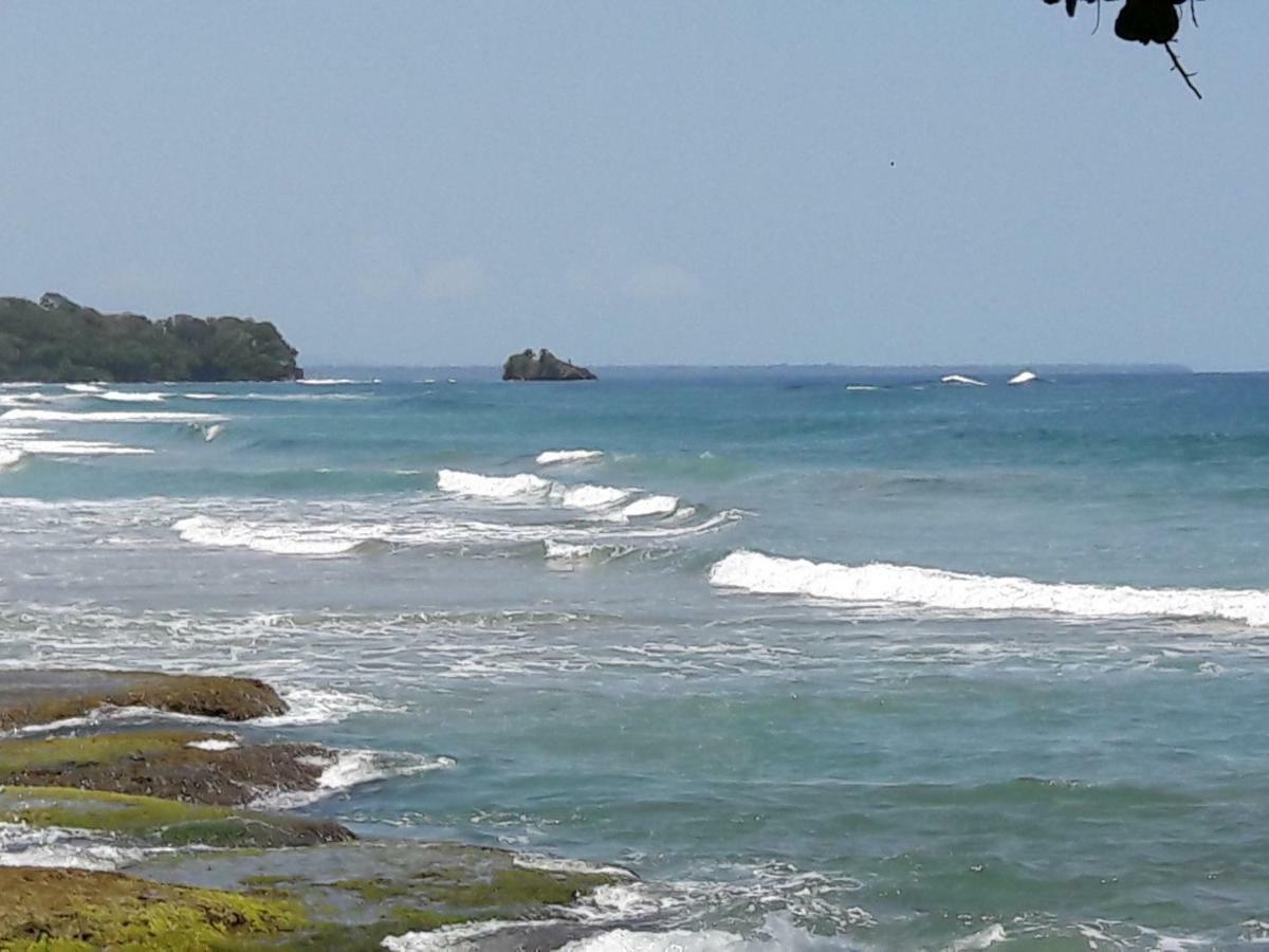 Hotel Casa Conley Del Mar Puerto Viejo de Talamanca Luaran gambar