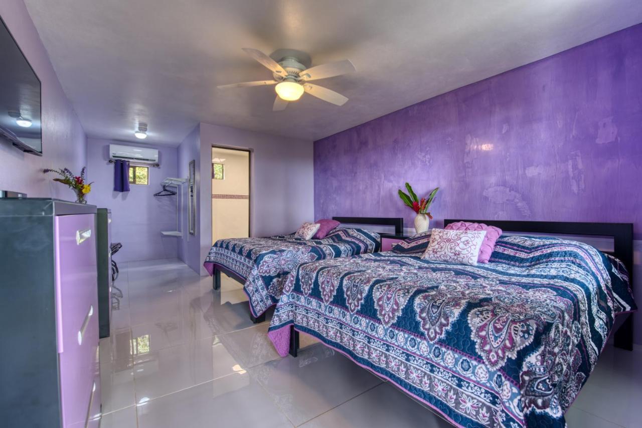 Hotel Casa Conley Del Mar Puerto Viejo de Talamanca Luaran gambar