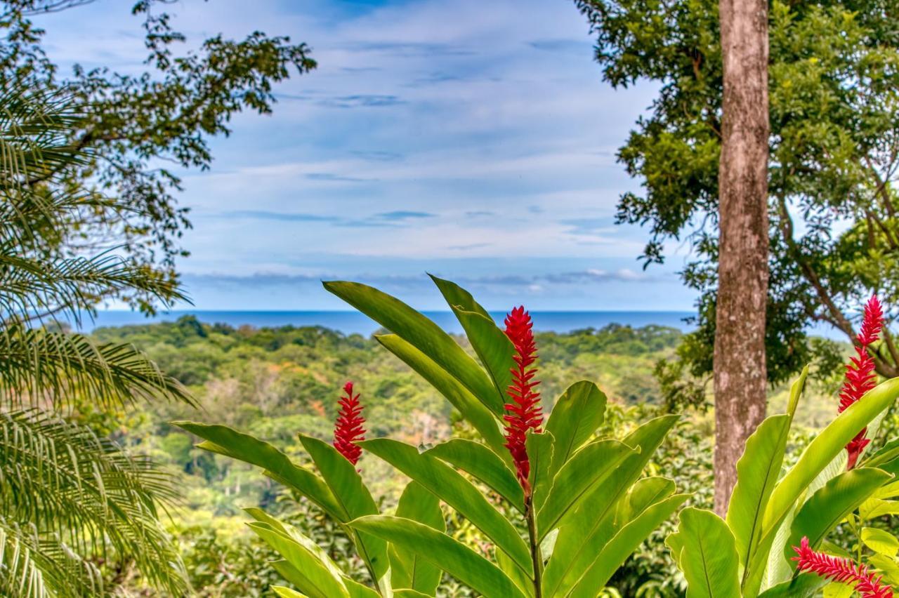 Hotel Casa Conley Del Mar Puerto Viejo de Talamanca Luaran gambar