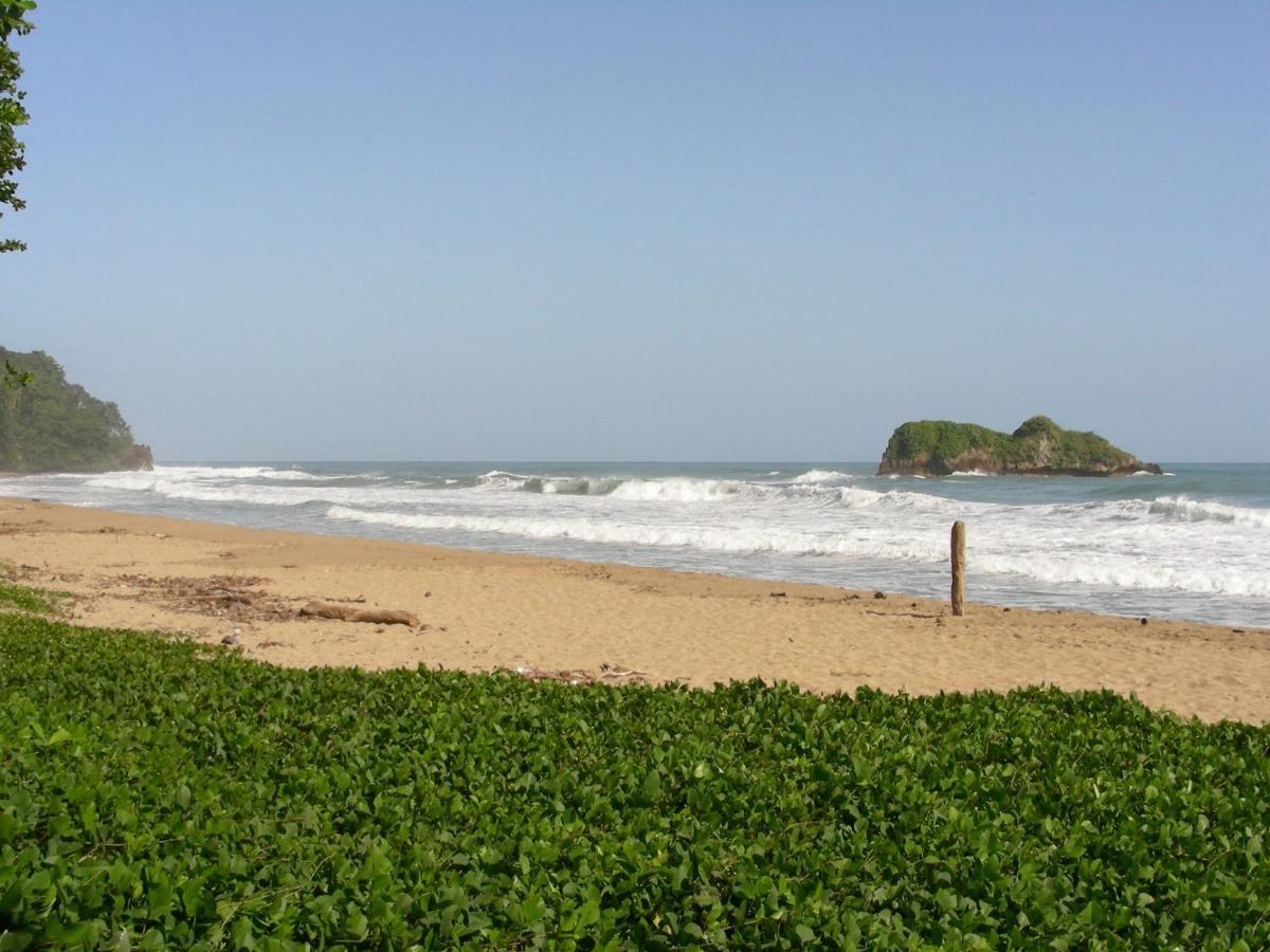 Hotel Casa Conley Del Mar Puerto Viejo de Talamanca Luaran gambar